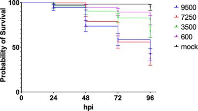 Meningococcal virulence in zebrafish embryos depends on capsule polysaccharide structure